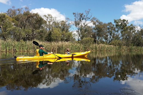 Kayak Tour On The Canning River - Tourism Hervey Bay 2