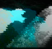 Half-Day Abrolhos Islands Shipwreck Air and Land Tour from Geraldton - Tourism Hervey Bay