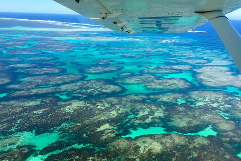 Kalbarri, Pink Lake And Abrolhos Islands Nature Tour - Hervey Bay Accommodation 5