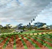 Vasse Felix Winery Tour and Tasting - Hervey Bay Accommodation