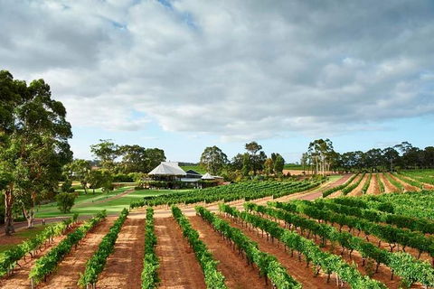Vasse Felix Winery Tour And Tasting - Hervey Bay Accommodation 0