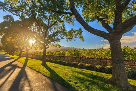 VIP Swan Valley Wine Tour - Premium Small Group Wine & Gourmet Experience - Hervey Bay Accommodation 1