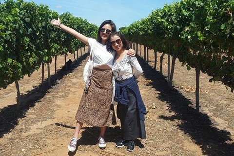 VIP Swan Valley Wine Tour - Premium Small Group Wine & Gourmet Experience - Hervey Bay Accommodation 3