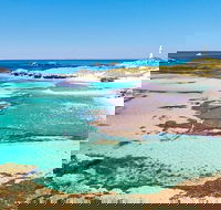 Rottnest Island Bayseeker Day Trip from Fremantle - Hervey Bay Accommodation
