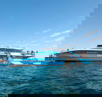 Rottnest Island Bike Snorkel  Ferry Package from Fremantle - Hervey Bay Accommodation