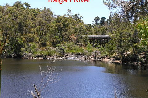 Kalgan Queen Scenic Cruises A Four Hour Sheltered Water Wildlife Tour Daily Fun. - Tourism Hervey Bay 3