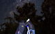 Dusk To Dawn Astronomy Margaret River - thumb 1