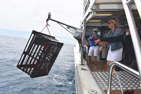 Rottnest Island Wild Seafood Package From Perth With Transfer - Tourism Hervey Bay 0