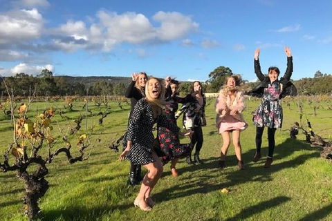 VW Kombi Food, Wine And More Tour (bring The Kids!) - Hervey Bay Accommodation 3