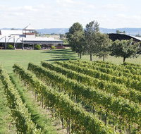 Puffing Billy Train and Yarra Valley Food and Wine Day Trip from Melbourne - Tourism Hervey Bay