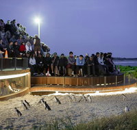 Small-Group Phillip Island Day Trip from Melbourne with Penguin Plus Viewing - Tourism Hervey Bay