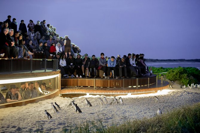 Phillip Island VIC Hervey Bay Accommodation
