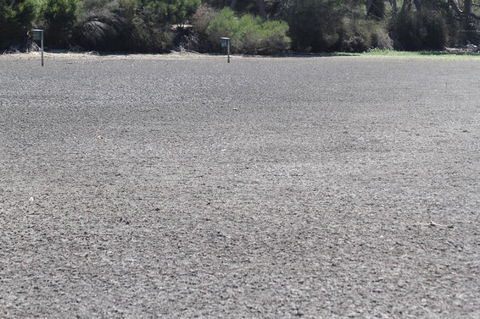 Koalas And Kangaroo In The Wild Tour From Melbourne - Tourism Hervey Bay 5