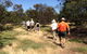 Koalas And Kangaroo In The Wild Tour From Melbourne - thumb 19