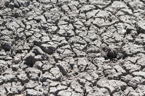 Koalas And Kangaroo In The Wild Tour From Melbourne - Tourism Hervey Bay 4