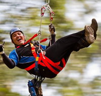 12 Apostles and Otway Fly Zipline Day Trip from Melbourne - Tourism Hervey Bay
