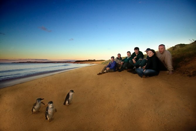 Hervey Bay Accommodation