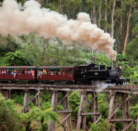 Melbourne Combo Great Ocean Road Puffing Billy Moonlit Sanctuary  Penguins - Tourism Hervey Bay