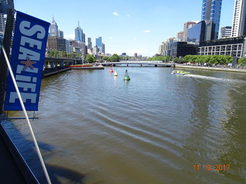 SEA LIFE Melbourne Aquarium Admission Ticket - Hervey Bay Accommodation 7