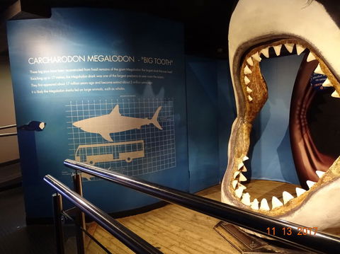 SEA LIFE Melbourne Aquarium Admission Ticket - Hervey Bay Accommodation 10