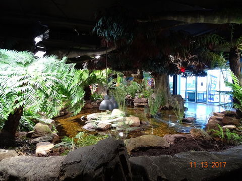 SEA LIFE Melbourne Aquarium Admission Ticket - Hervey Bay Accommodation 2