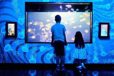 SEA LIFE Melbourne Aquarium Admission Ticket - Hervey Bay Accommodation 18