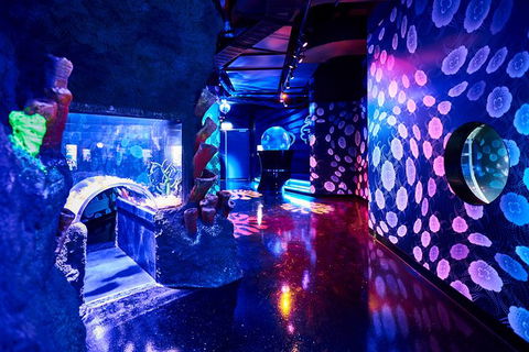 SEA LIFE Melbourne Aquarium Admission Ticket - Hervey Bay Accommodation 13