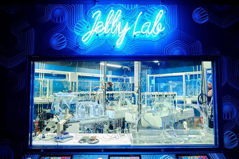 SEA LIFE Melbourne Aquarium Admission Ticket - Hervey Bay Accommodation 24