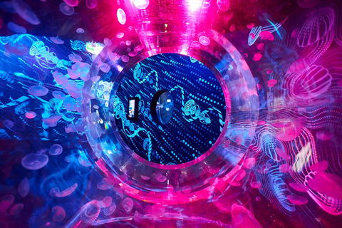 SEA LIFE Melbourne Aquarium Admission Ticket - Hervey Bay Accommodation 26