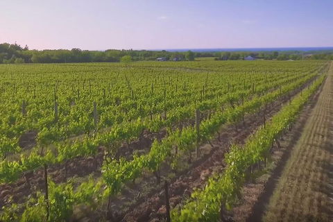 Macedon Ranges Small Group Wine Tour With 2 Course Lunch And Morning Tea - Tourism Hervey Bay 1