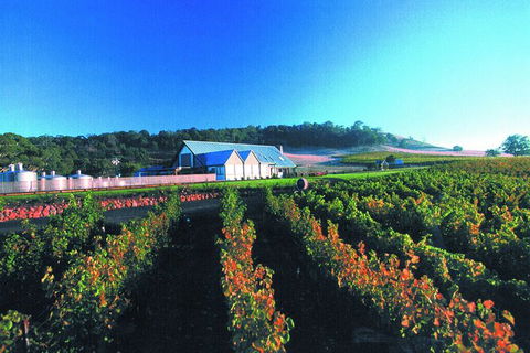Macedon Ranges Small Group Wine Tour With 2 Course Lunch And Morning Tea - Tourism Hervey Bay 4