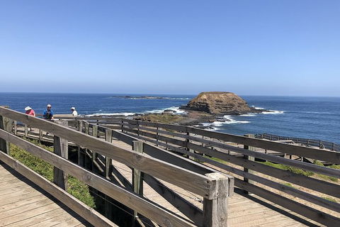 Day Tour Of Phillip Island, The Surrounding Region And Wine Tasting - Hervey Bay Accommodation 14