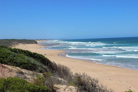 Day Tour Of Phillip Island, The Surrounding Region And Wine Tasting - Hervey Bay Accommodation 5