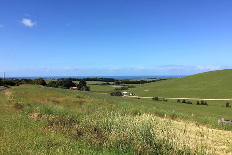 Day Tour Of Phillip Island, The Surrounding Region And Wine Tasting - Hervey Bay Accommodation 6