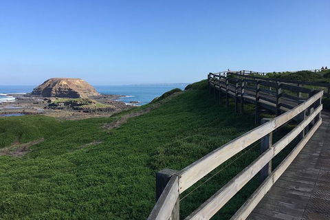 Day Tour Of Phillip Island, The Surrounding Region And Wine Tasting - Hervey Bay Accommodation 11