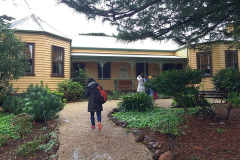 Day Tour Of Phillip Island, The Surrounding Region And Wine Tasting - Hervey Bay Accommodation 12
