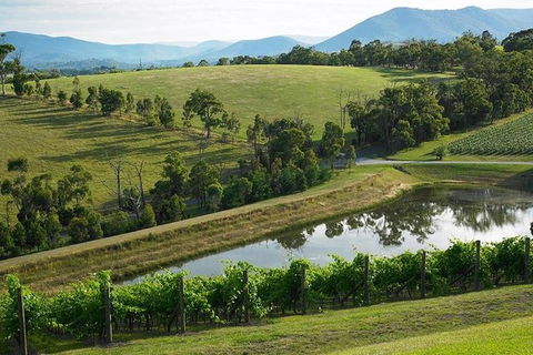 CHEVY CONVERTIBLE Package For 2 People- Wine Lunch Cheese & Chocolate From Melb. - Hervey Bay Accommodation 9