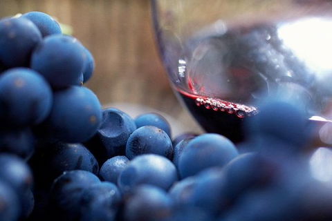 Ultimate Mornington Peninsula Food And Wine Small Group Tour - Hervey Bay Accommodation 1