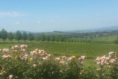 Ultimate Mornington Peninsula Food And Wine Small Group Tour - Hervey Bay Accommodation 0