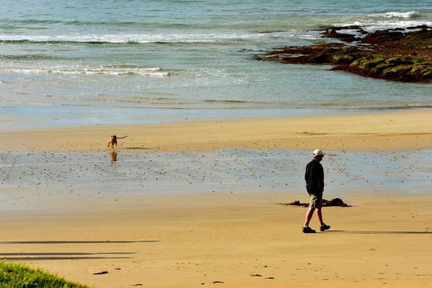 Ultimate Reverse Direction - 12 Apostles, Great Ocean Road - Small Group Tour - Hervey Bay Accommodation 6