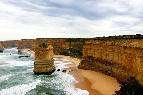 Ultimate Reverse Direction - 12 Apostles, Great Ocean Road - Small Group Tour - Hervey Bay Accommodation 5