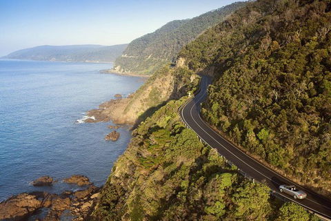 Ultimate Reverse Direction - 12 Apostles, Great Ocean Road - Small Group Tour - Hervey Bay Accommodation 10