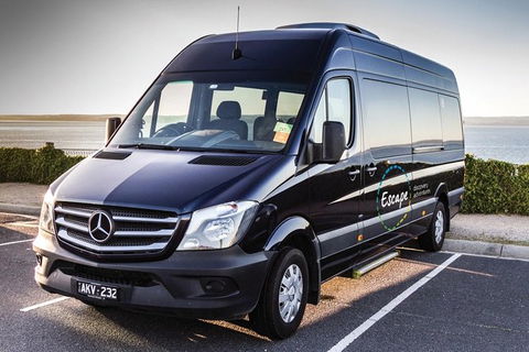 Ultimate Reverse Direction - 12 Apostles, Great Ocean Road - Small Group Tour - Hervey Bay Accommodation 4