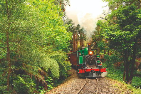 Half Day Puffing Billy Train Journey From Melbourne - Hervey Bay Accommodation 2