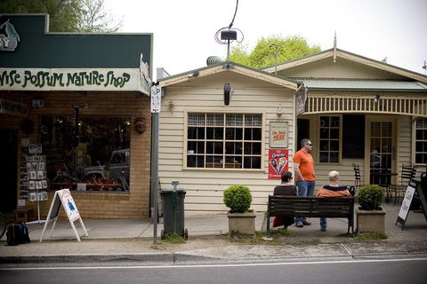 Half Day Puffing Billy Train Journey From Melbourne - Hervey Bay Accommodation 10