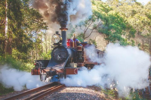 Half Day Puffing Billy Train Journey From Melbourne - Hervey Bay Accommodation 4