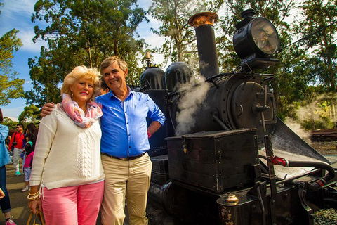 Half Day Puffing Billy Train Journey From Melbourne - Hervey Bay Accommodation 8