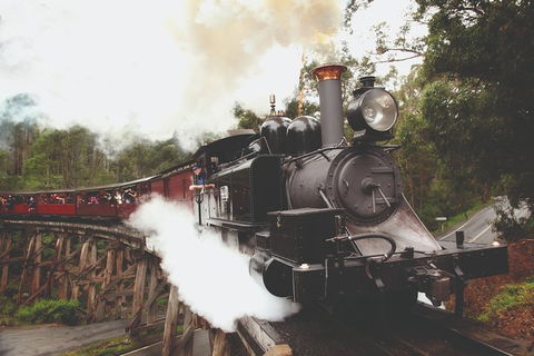 Half Day Puffing Billy Train Journey From Melbourne - Hervey Bay Accommodation 3