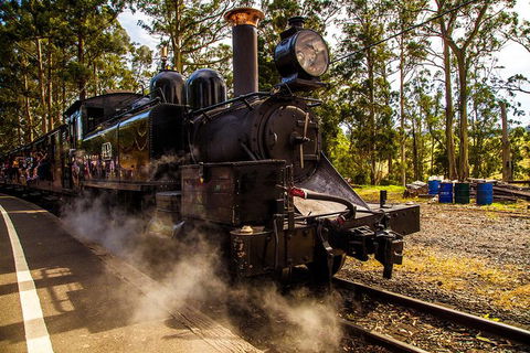 Half Day Puffing Billy Train Journey From Melbourne - Hervey Bay Accommodation 6