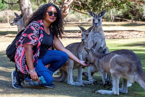3-Day Tasmania Combo: Launceston To Hobart Active Tour Including Cradle Mountain, Freycinet National Park And Port Arthur - Hervey Bay Accommodation 12